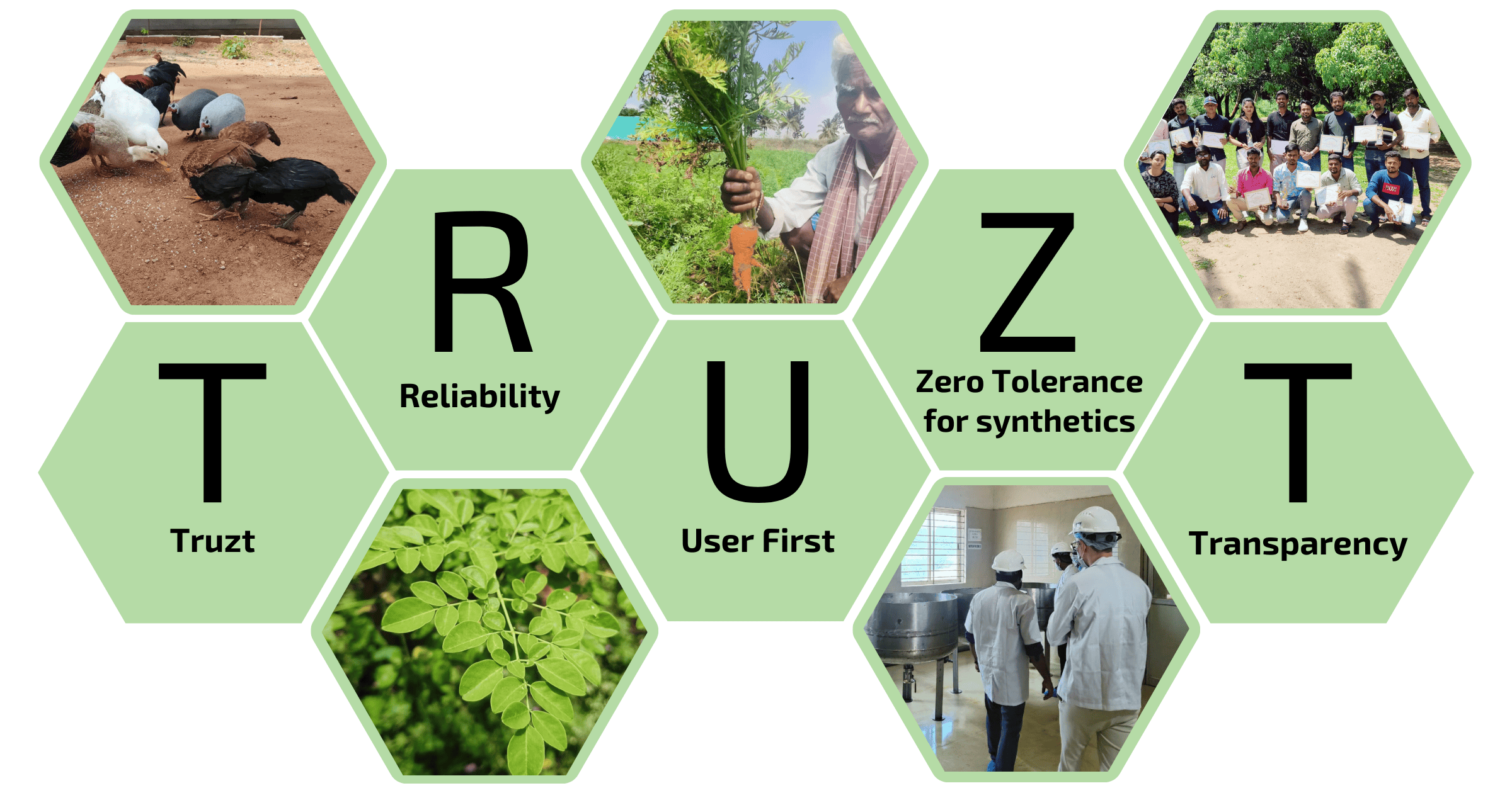 Leading Organic Wellness Product Manufacturer Truzt Organic