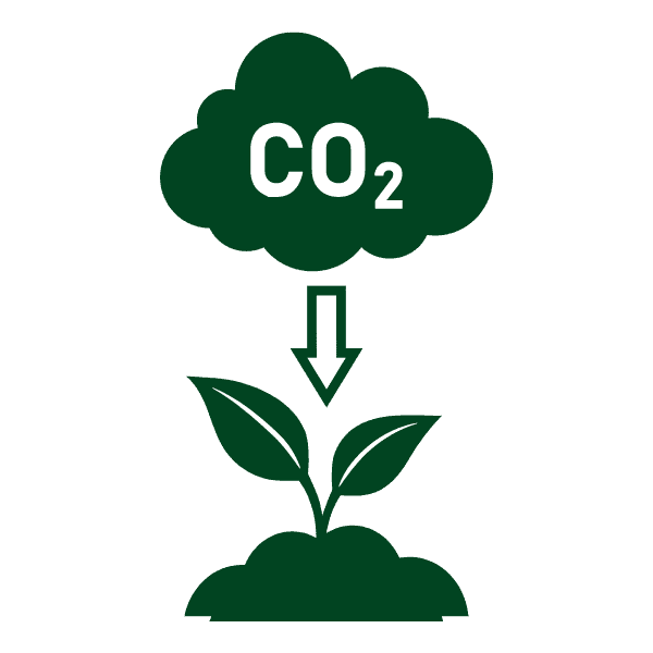 Low Carbon Footprint Truzt Organic About Us 8