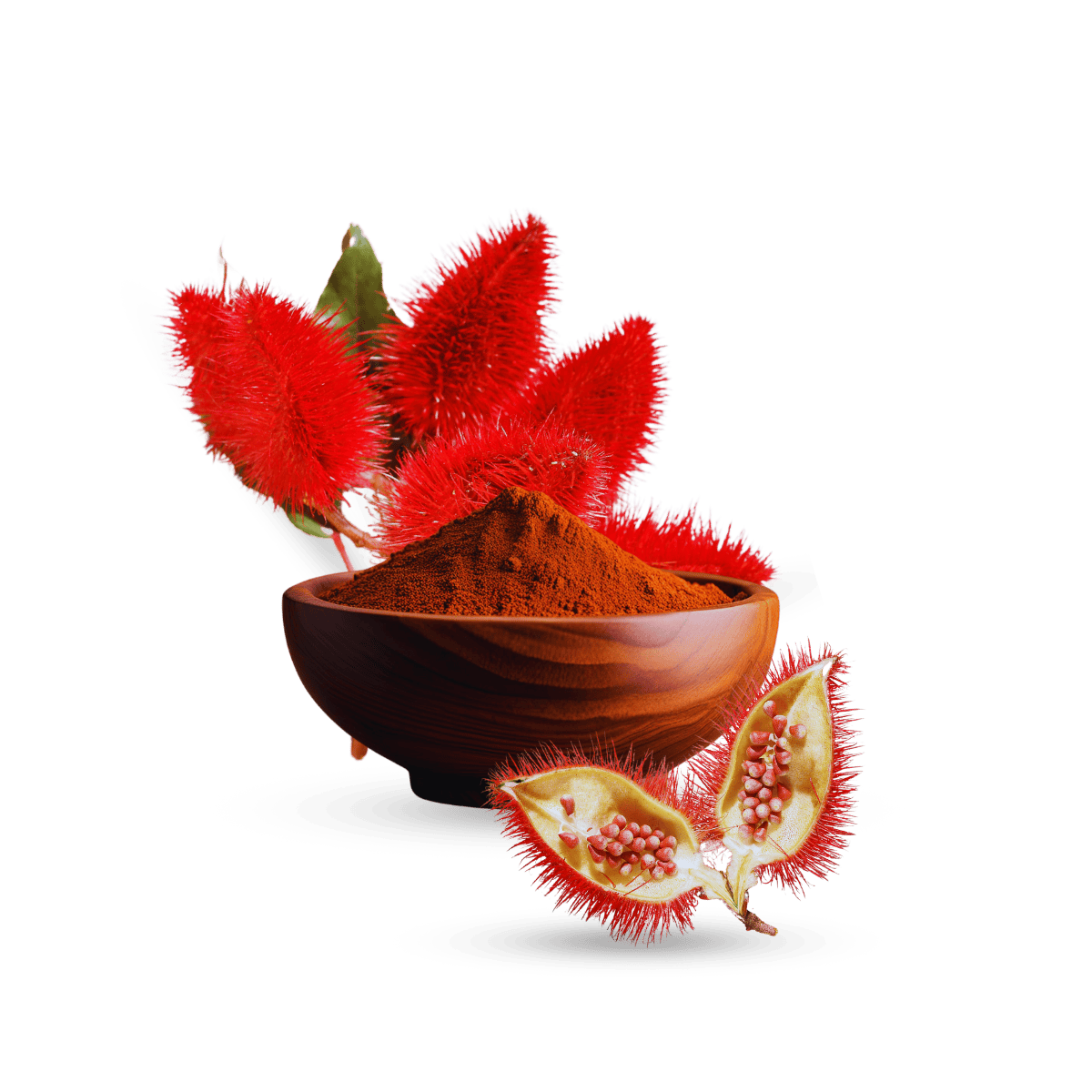 Annatto Seed Extract, Organic Annatto Seed Extract