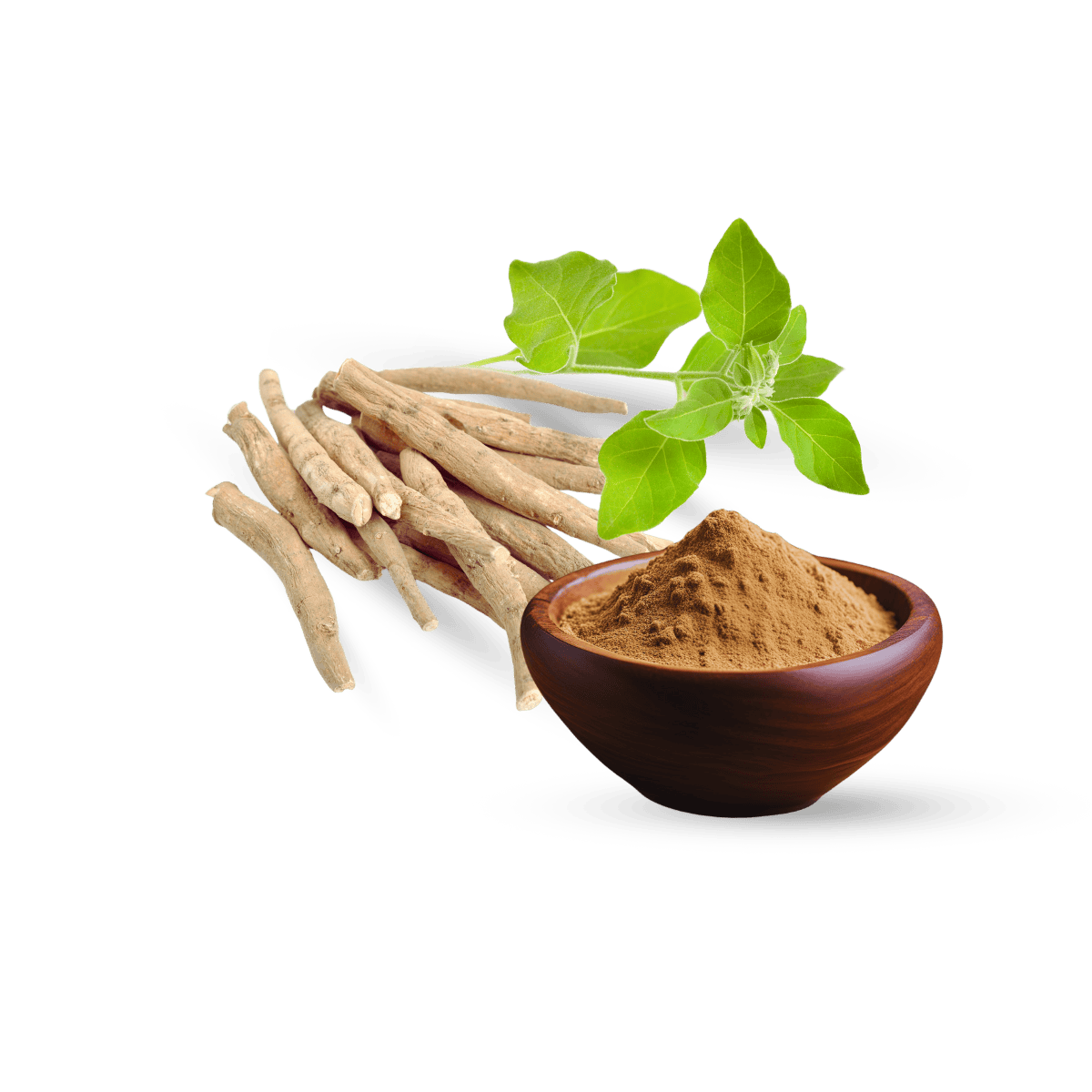 Ashwagandha Extract, Organic Ashwagandha Extract