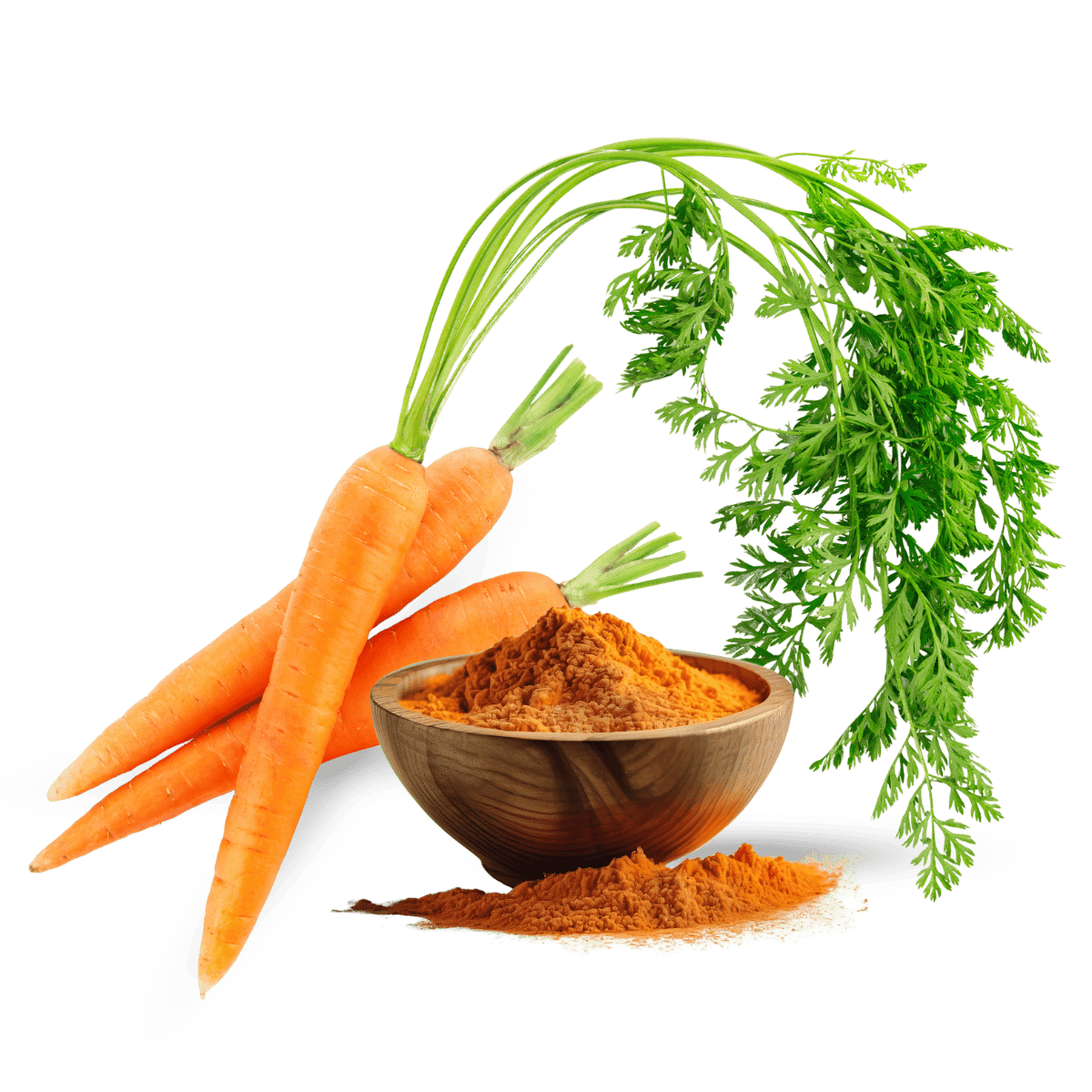 Carrot Extract, Organic Carrot Extract