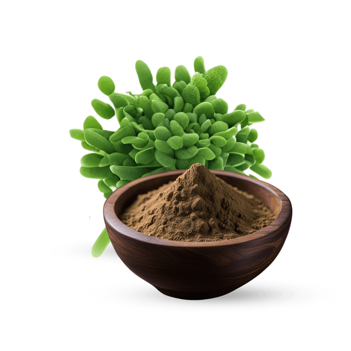 Chlorella Extract, Organic Chlorella Extract