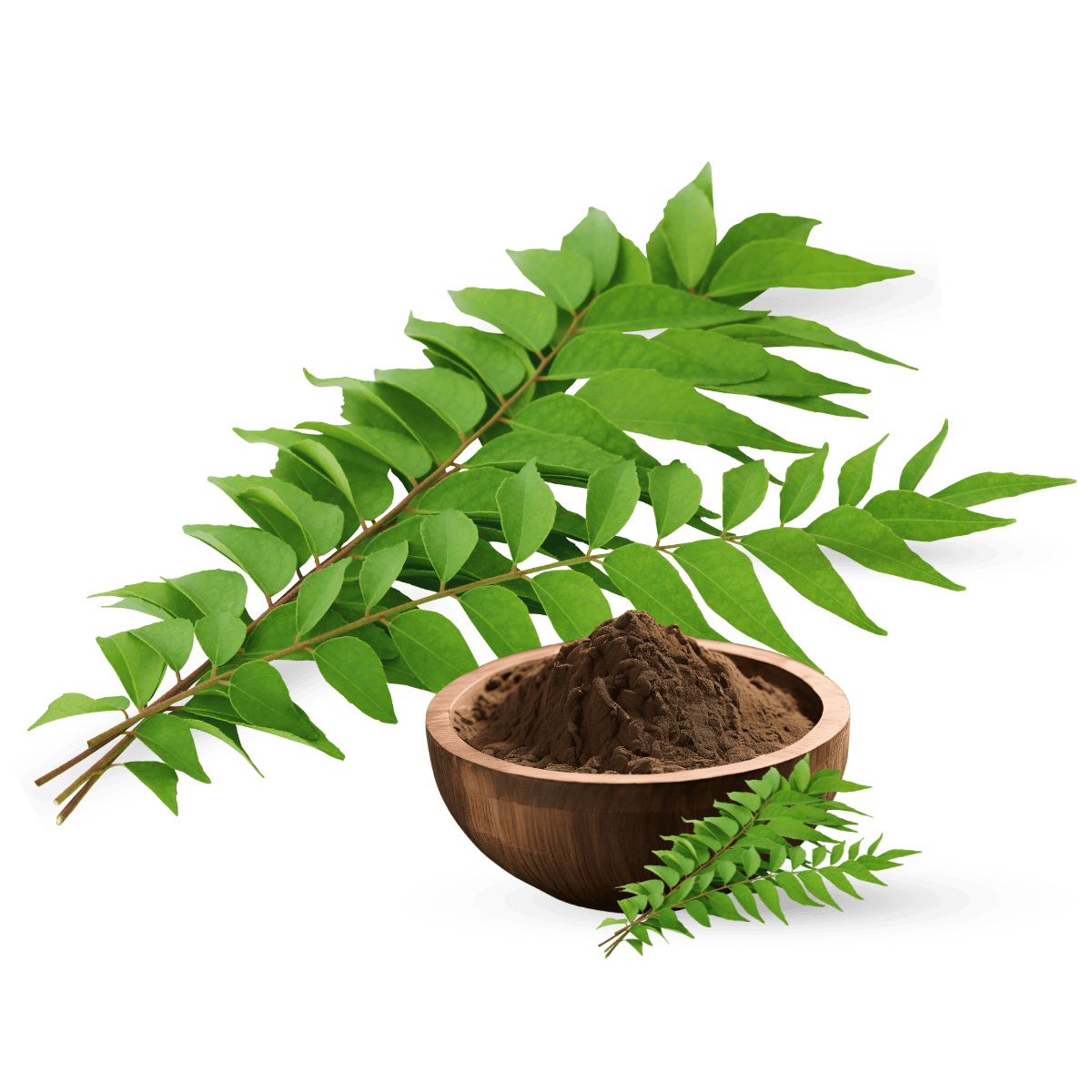 Curry Leaves Extract, Organic Curry Leaves Extract