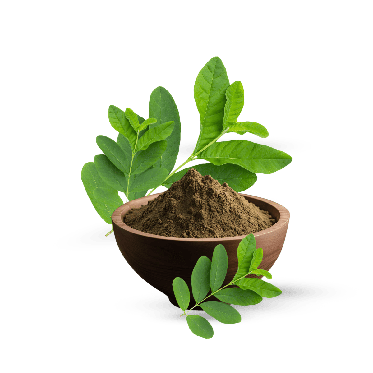 Guava Leaves Extract, Organic Guava Leaves Extract