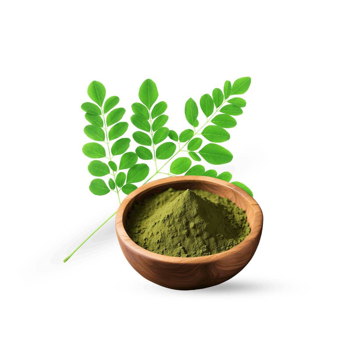 Moringa Leaves Extract, Organic Moringa Leaves Extract