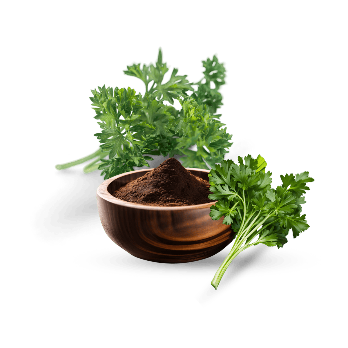 Parsley Extract, Organic Parsley Extract