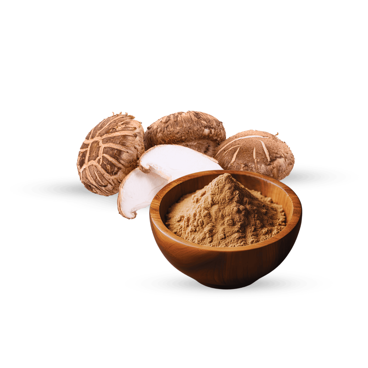 Shiitake Mushroom Extract, Organic Shiitake Mushroom Extract