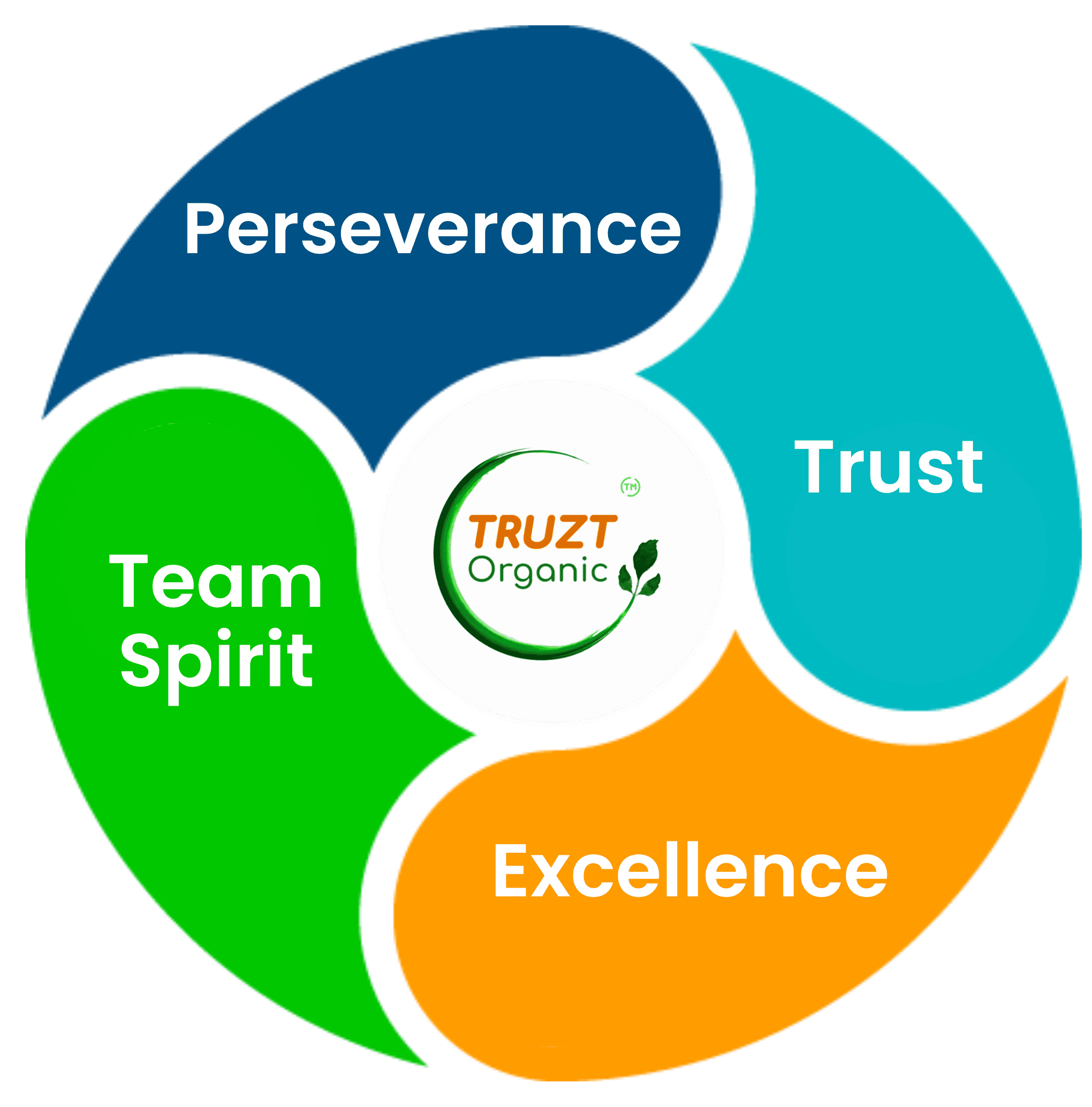 Company Career Culture​