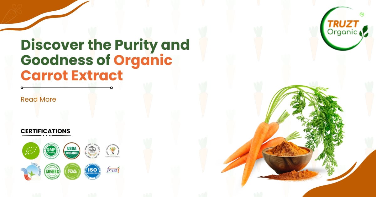 Discover the Purity and Goodness of Organic Carrot Extract