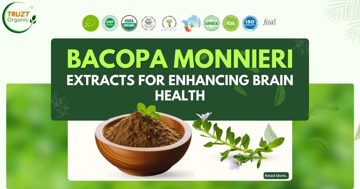 Benefit of Bacopa Monnieri Extracts Boost Brain Health