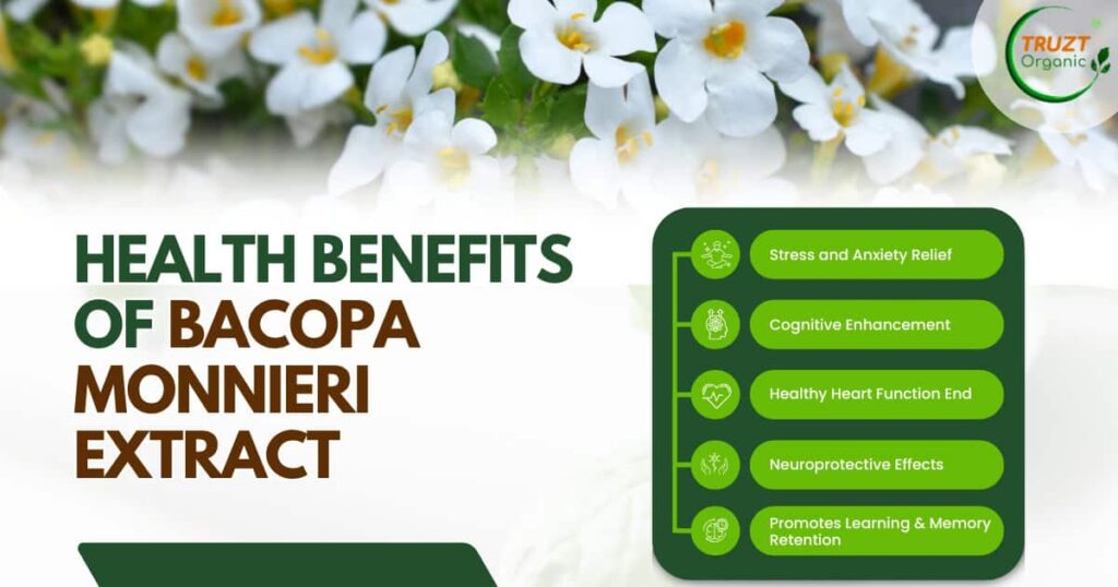 Health Benefits of Bacopa Monnieri Extracts