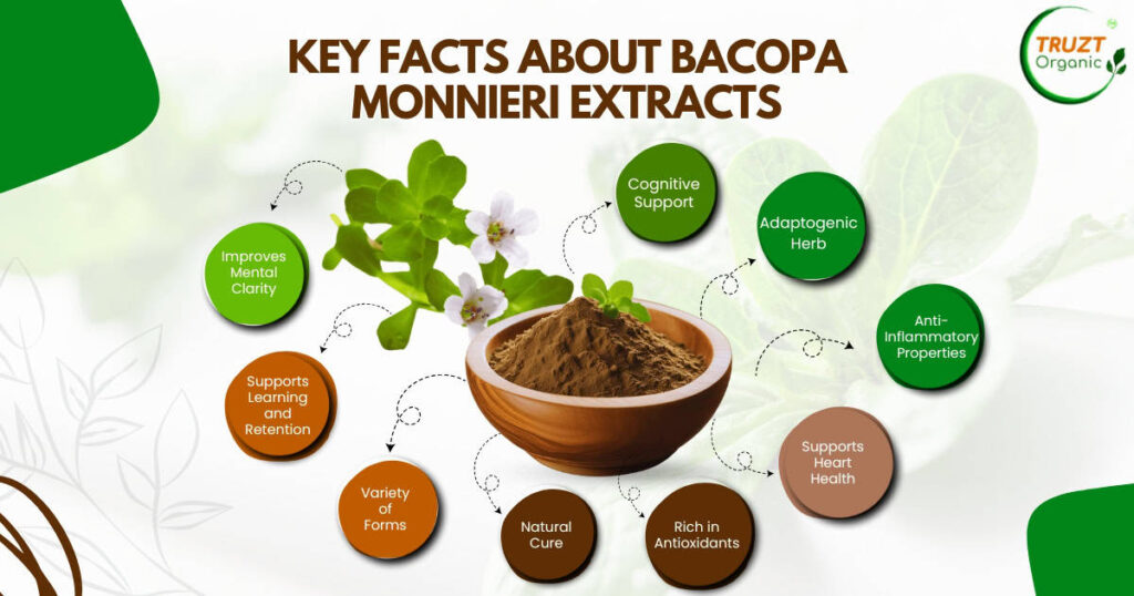 Key Facts About Bacopa Monnieri Extracts