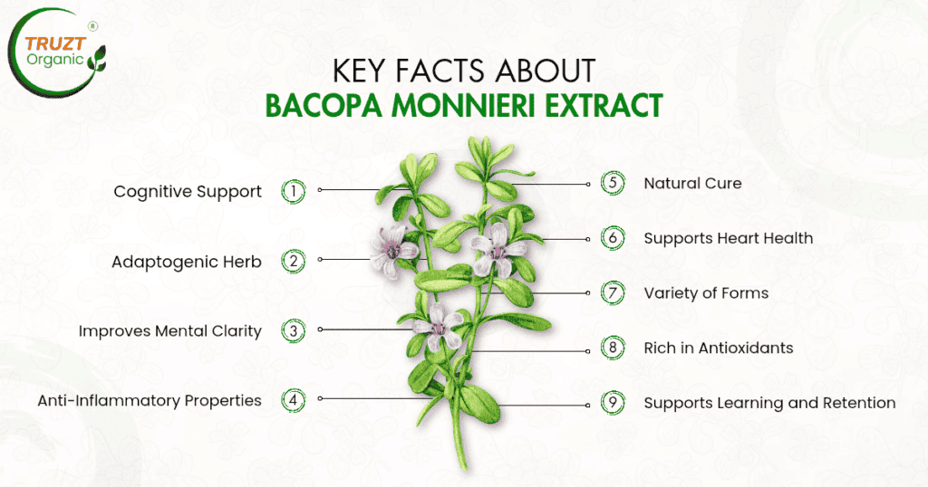 Key Facts About Bacopa Monnieri Extracts