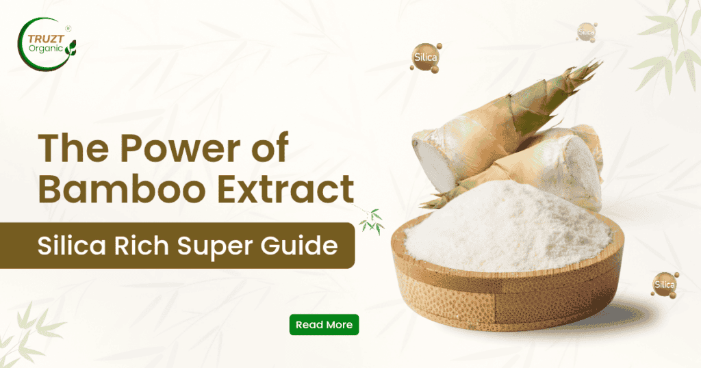 Bamboo Extract, Bamboo Shoot Extract Silica