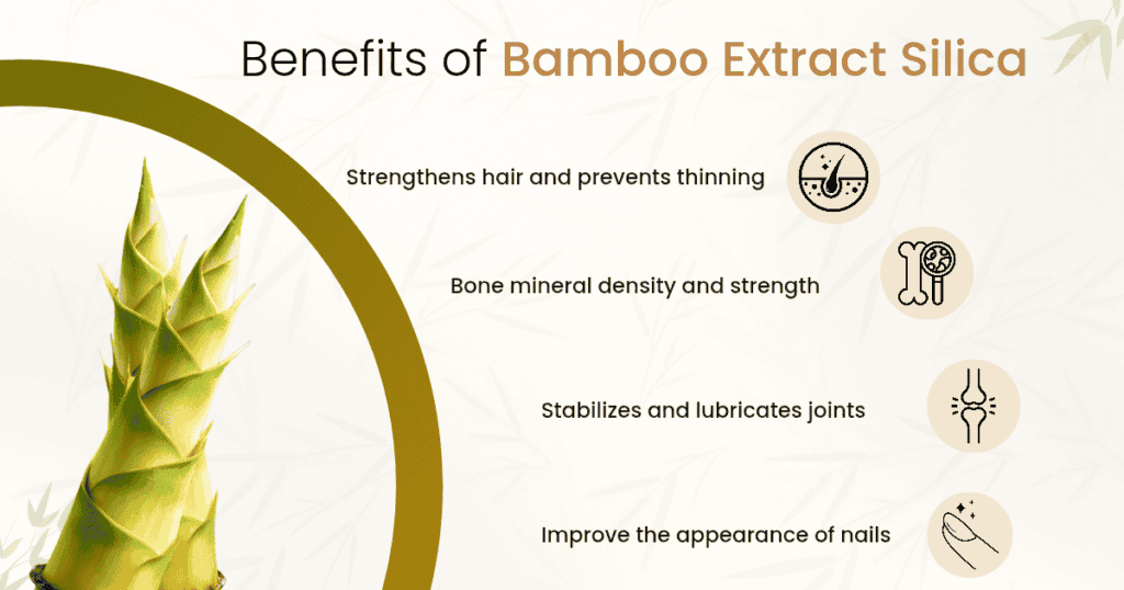 Benefits of Bamboo Extract Silica
