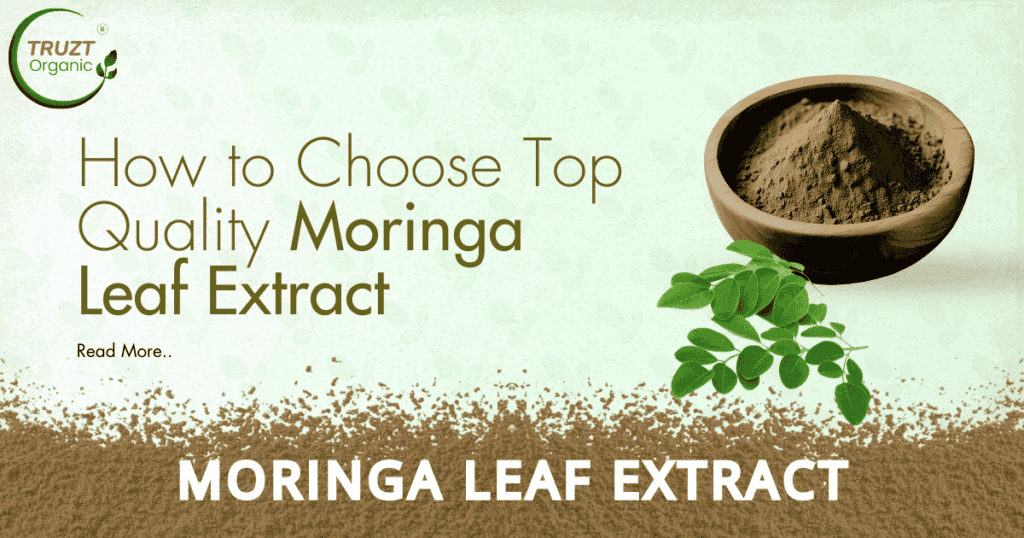How to Choose High Quality Moringa Leaf Extract