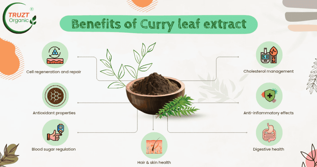 Benefits of curry leaf extract, curry leaf extract benefits
