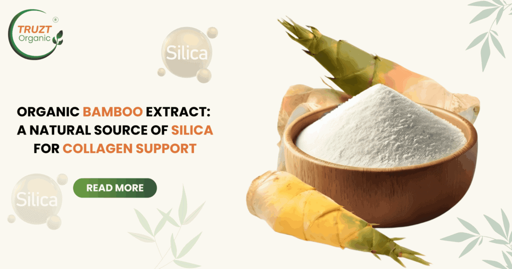 Organic Bamboo Extract for Collagen Support Naturally