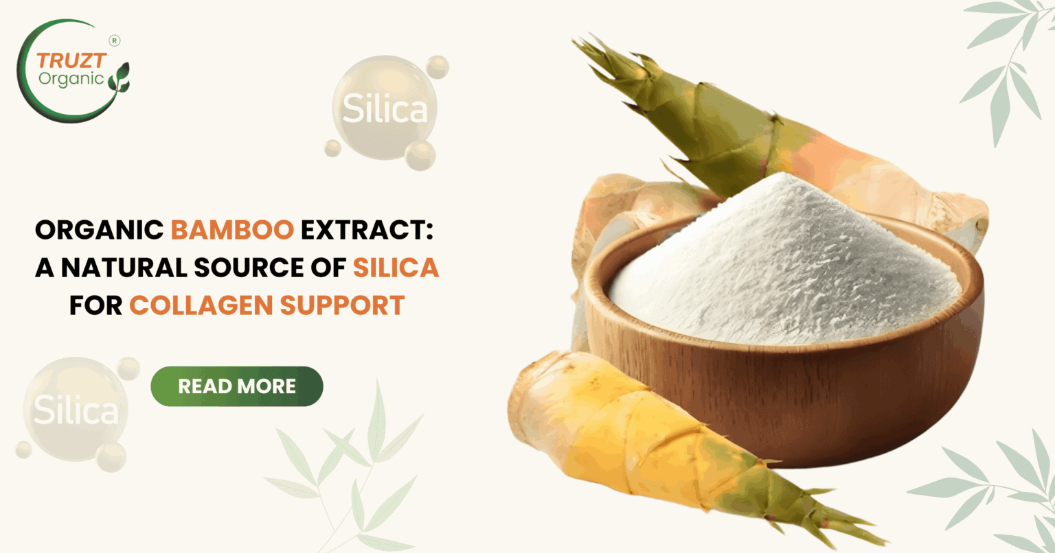 Organic Bamboo Extract for Collagen Support Naturally