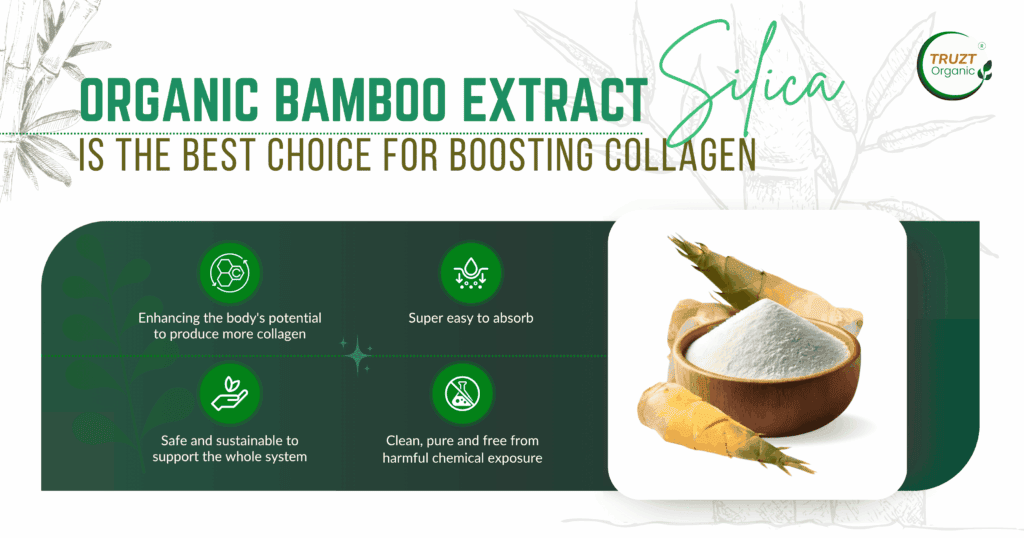 Organic bamboo extract silica is the best choice for boosting collagen naturally