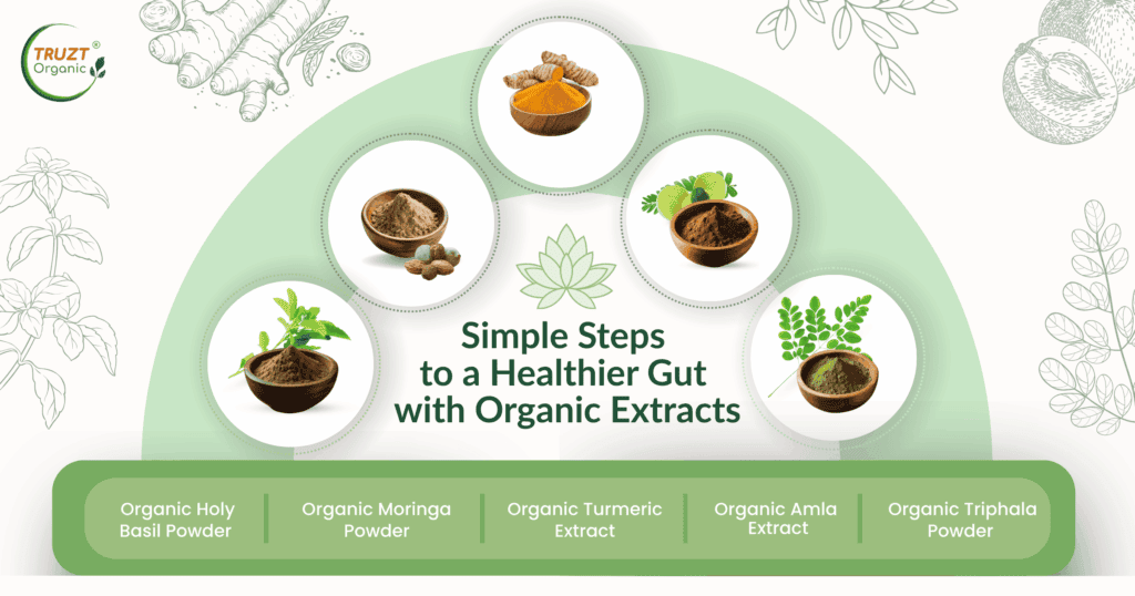 Simple Steps to a Healthier Gut with Organic Extracts