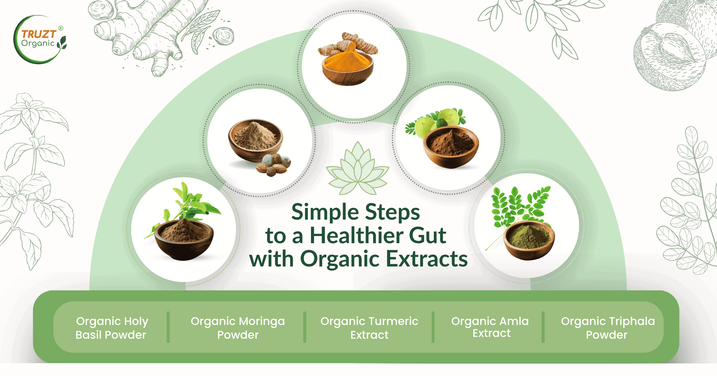 Simple Steps to a Healthier Gut with Organic Extracts