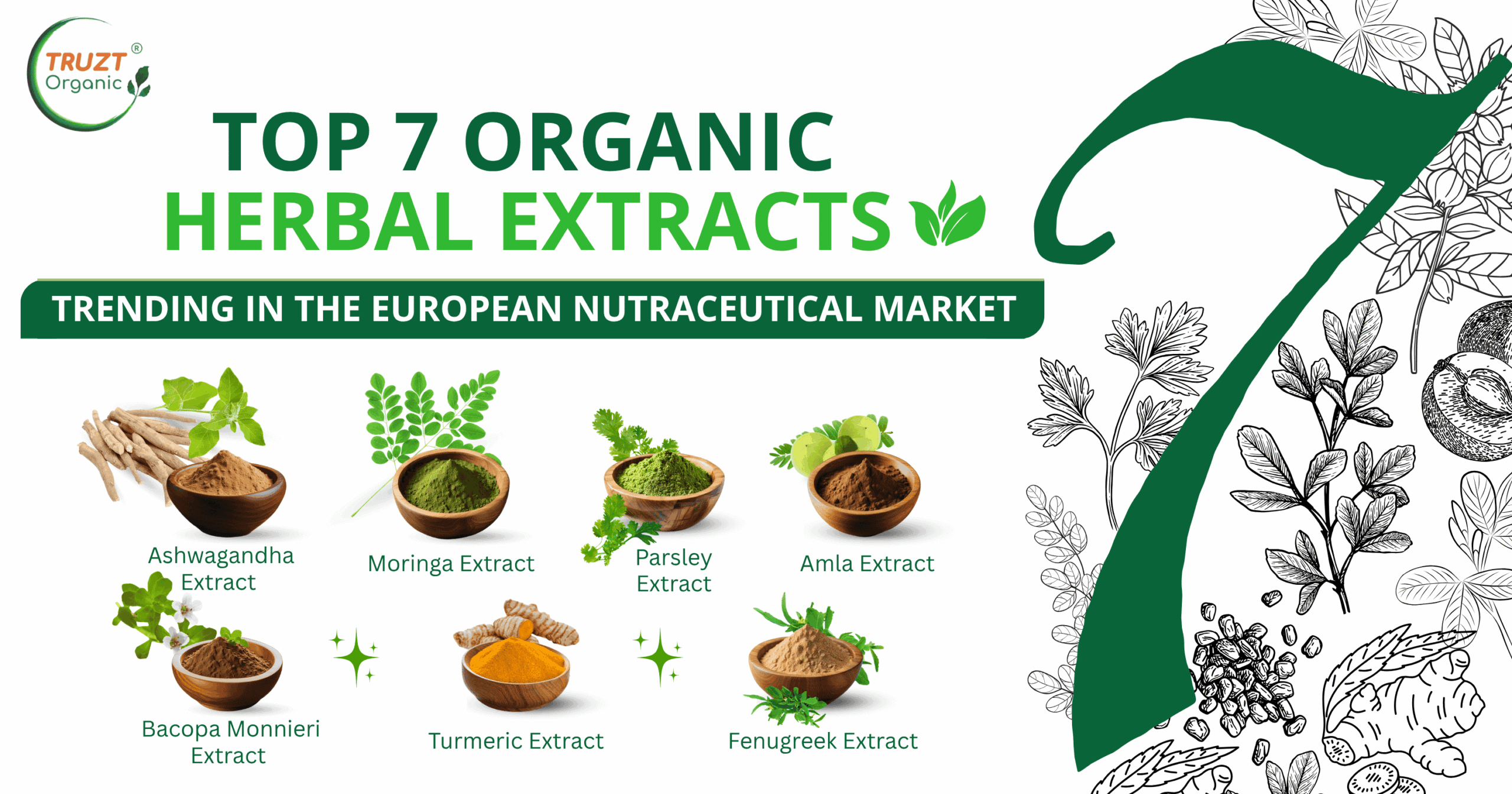 Top 7 Organic Herbal Extracts Trending in the European Nutraceutical Market