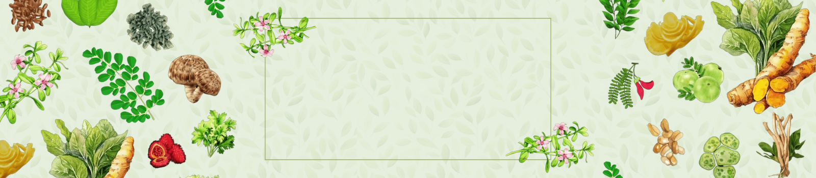 Various herbal powders and spices