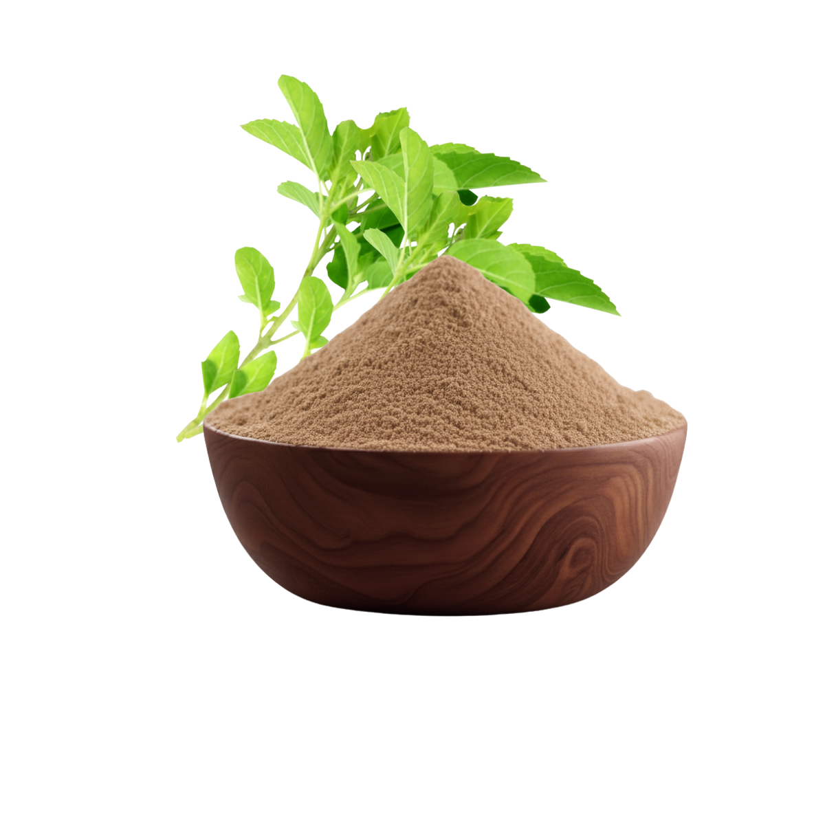 Basil Power Organic Holy Basil Extract | TRUZT ORGANIC