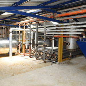 Truzt Organic Gallery Image 3